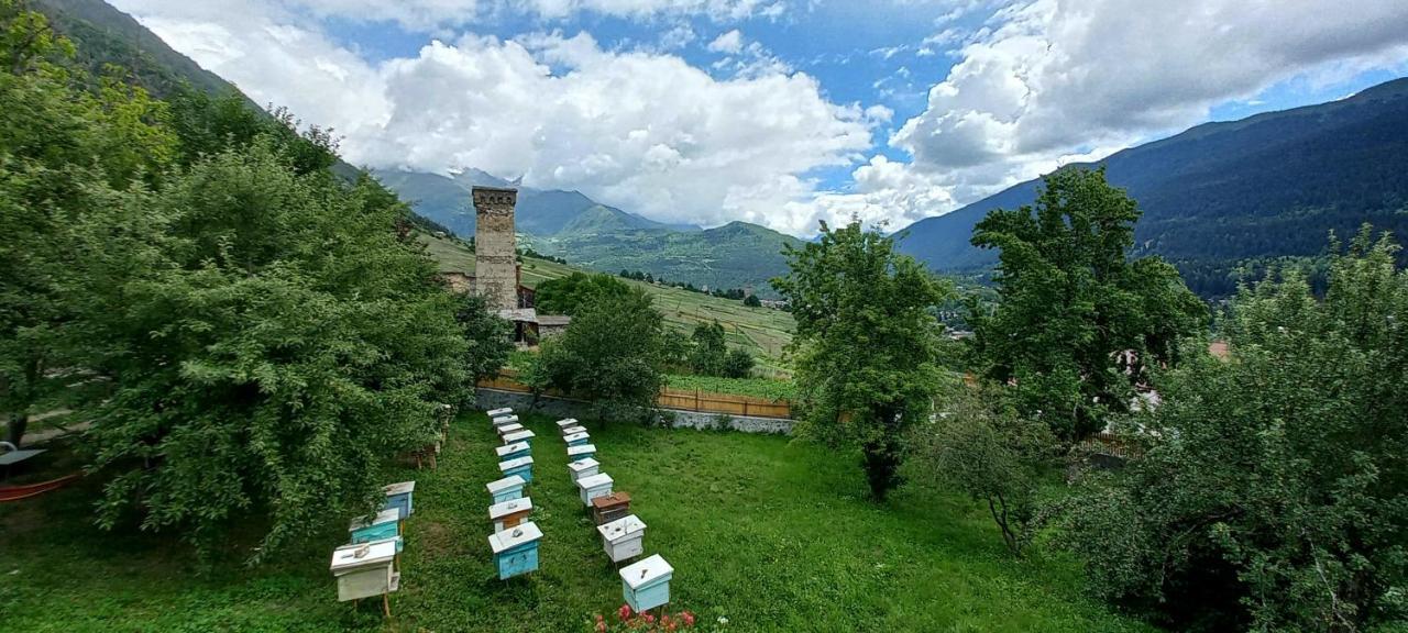 Bees Guesthouse Mestia Buitenkant foto